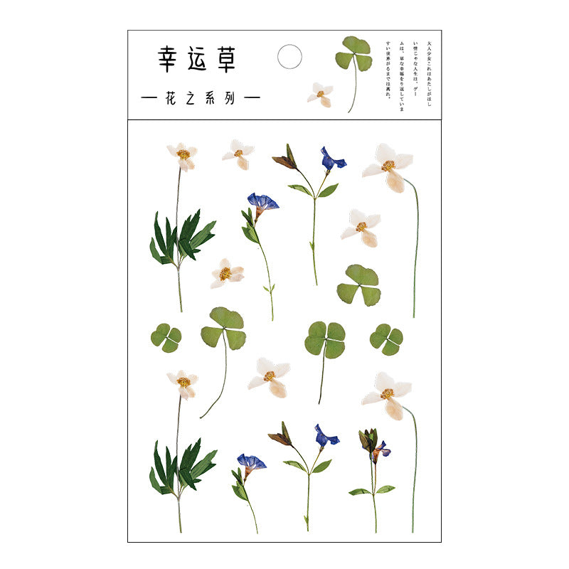 Natural Flower Sticker, Lover Gift, Sticker for laptop water bottle and cup
