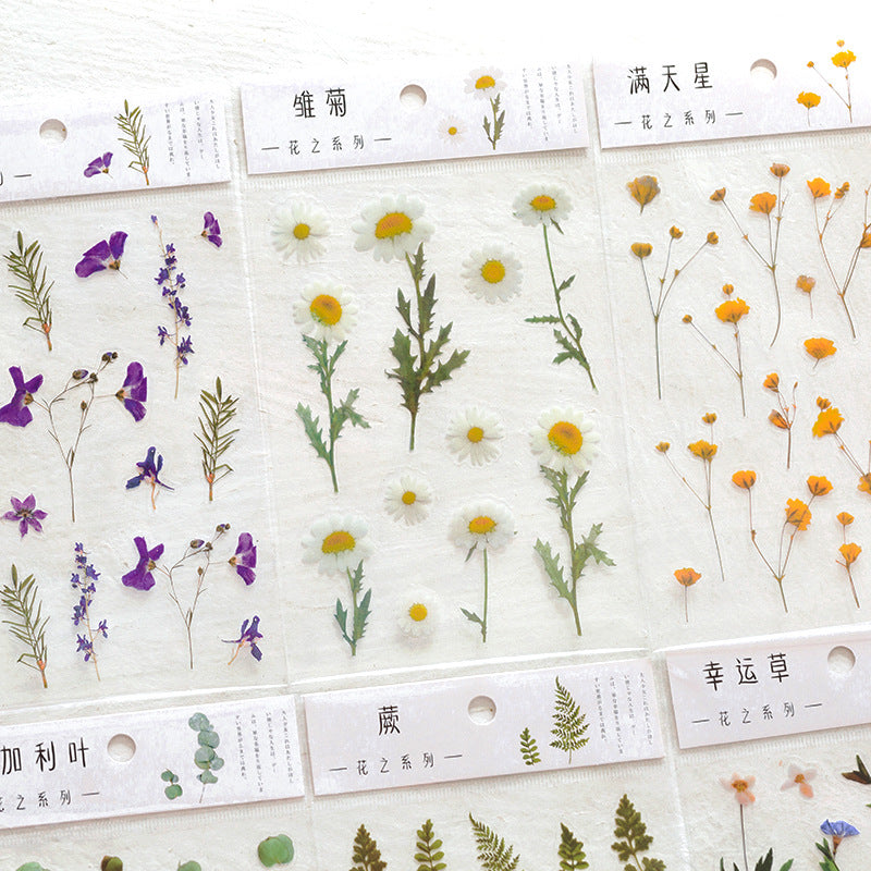 Natural Flower Sticker, Lover Gift, Sticker for laptop water bottle and cup