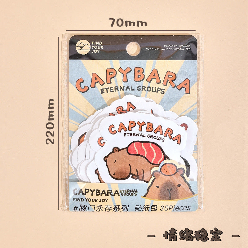 Capybara Eternal Groups Sticker, water bottle laptop stickers 30 pcs