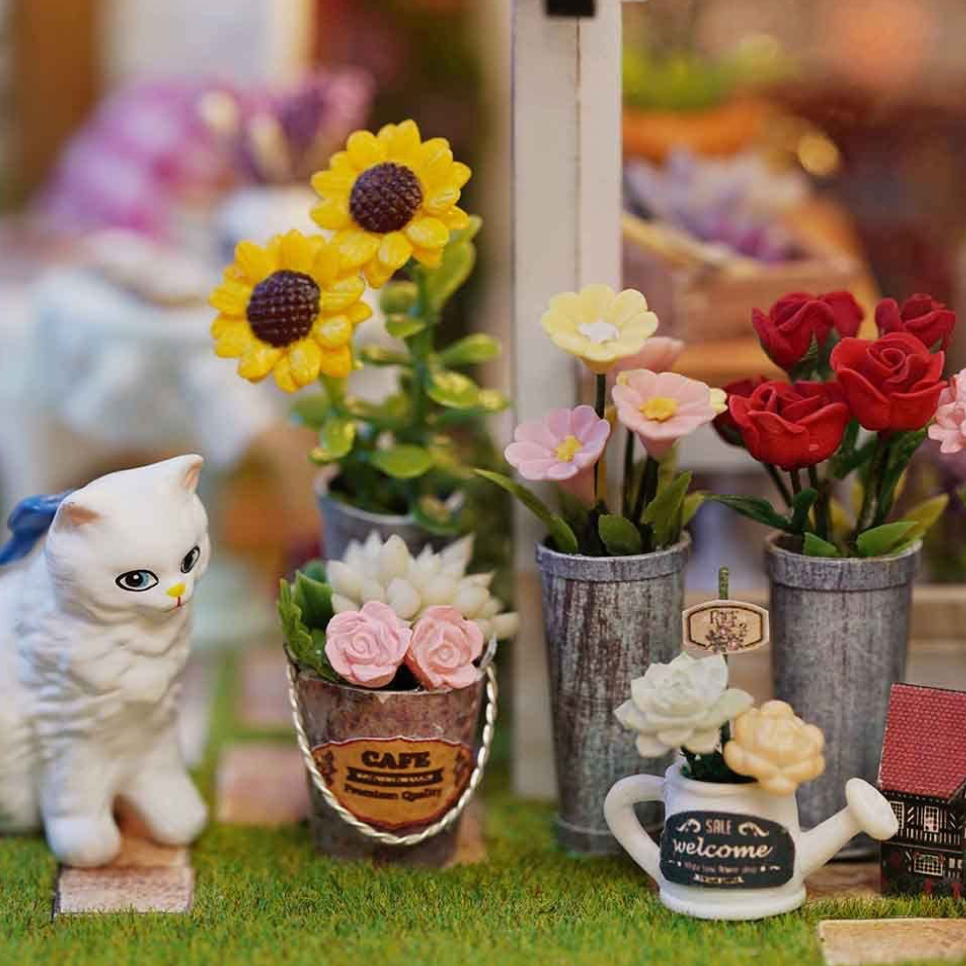 Sunshine Green House