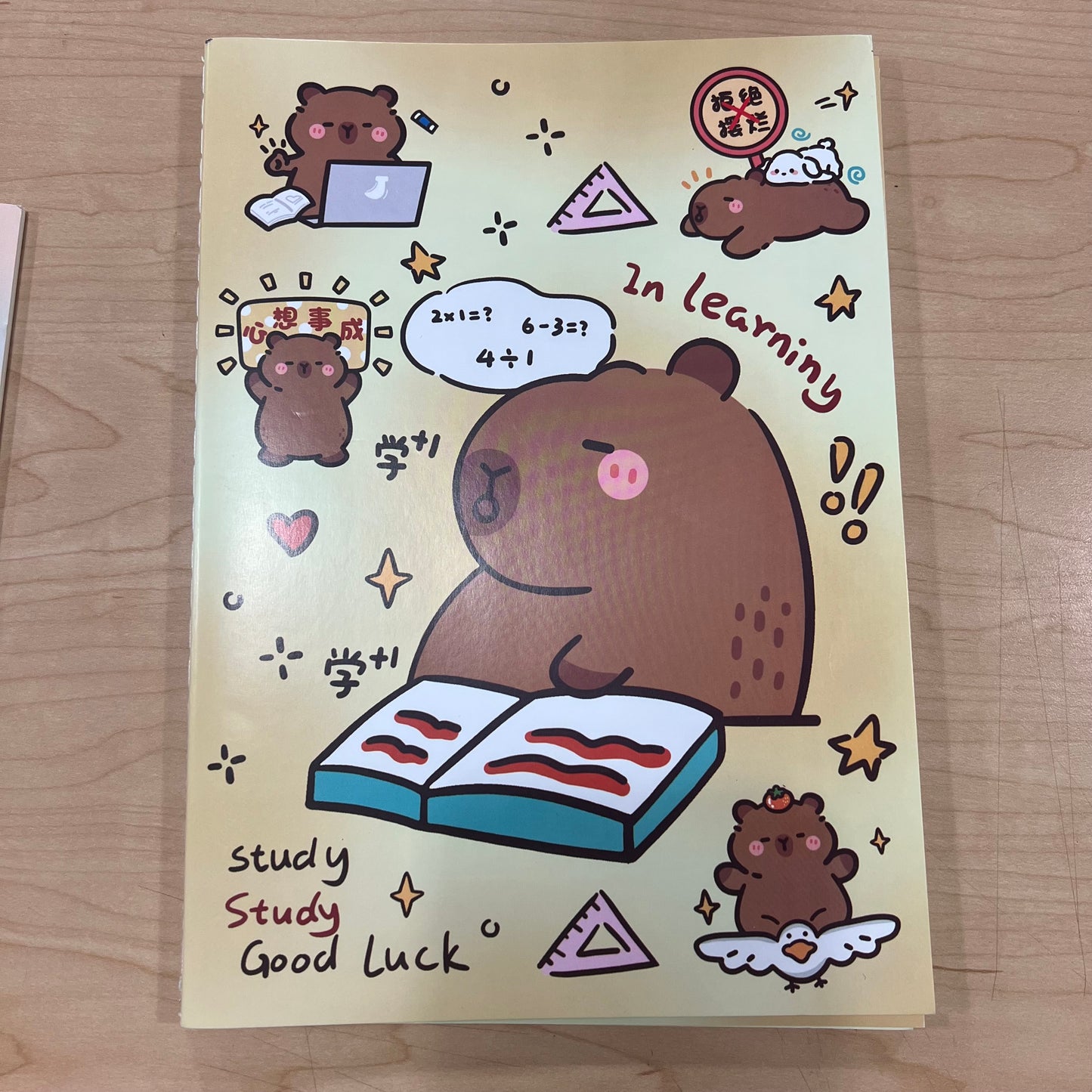 B5 Cute Notebooks High Quality Paper Capybara