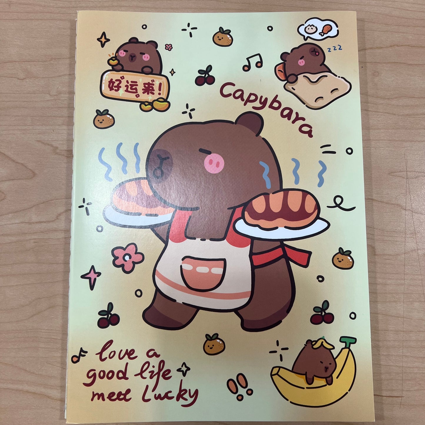 B5 Cute Notebooks High Quality Paper Capybara