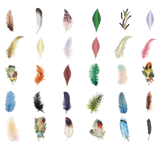 Natural Story Stickers