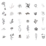 Natural Story Stickers
